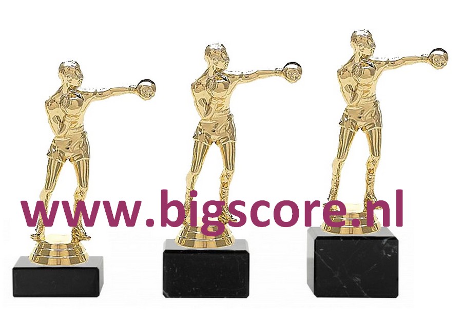 Bokser Heer Goud 509-G